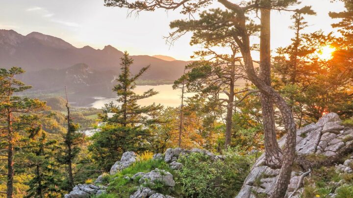 Das Wandern ist des Menschen Lust… aber bitte nicht durch den eigenen Garten!