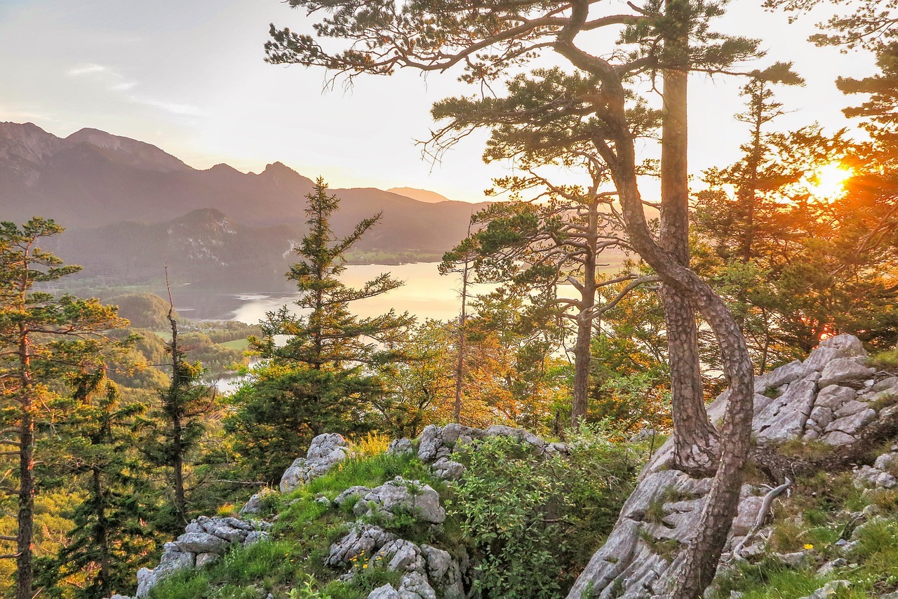 Das Wandern ist des Menschen Lust… aber bitte nicht durch den eigenen Garten!