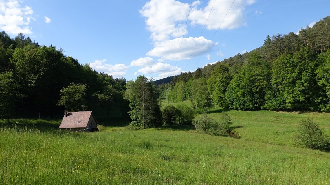 Hunde-Wanderungen in Bayern